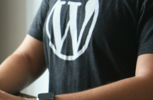 Understanding WordPress website costs | A man wearing a WordPress tshirt