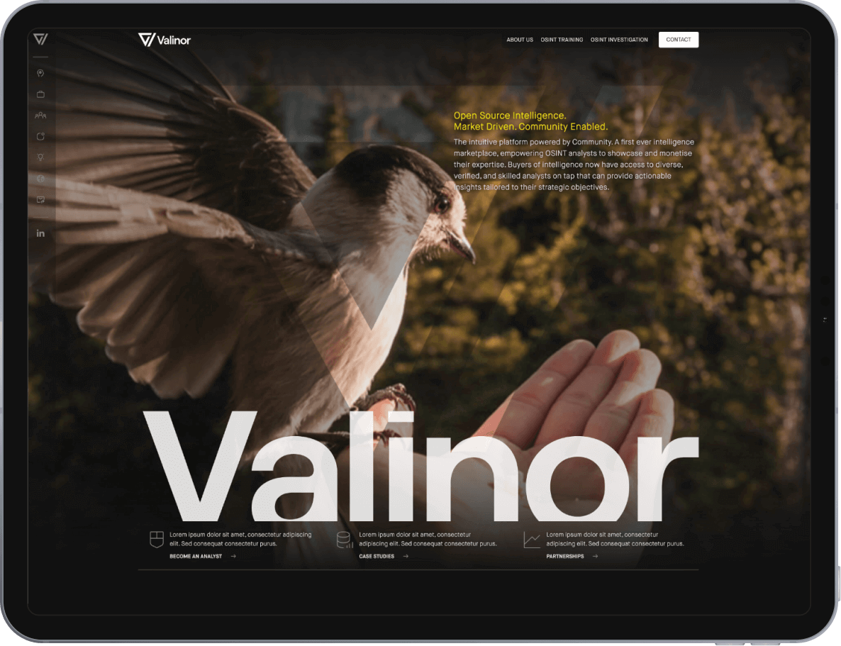 Valinor Intelligence design iPad screenshot