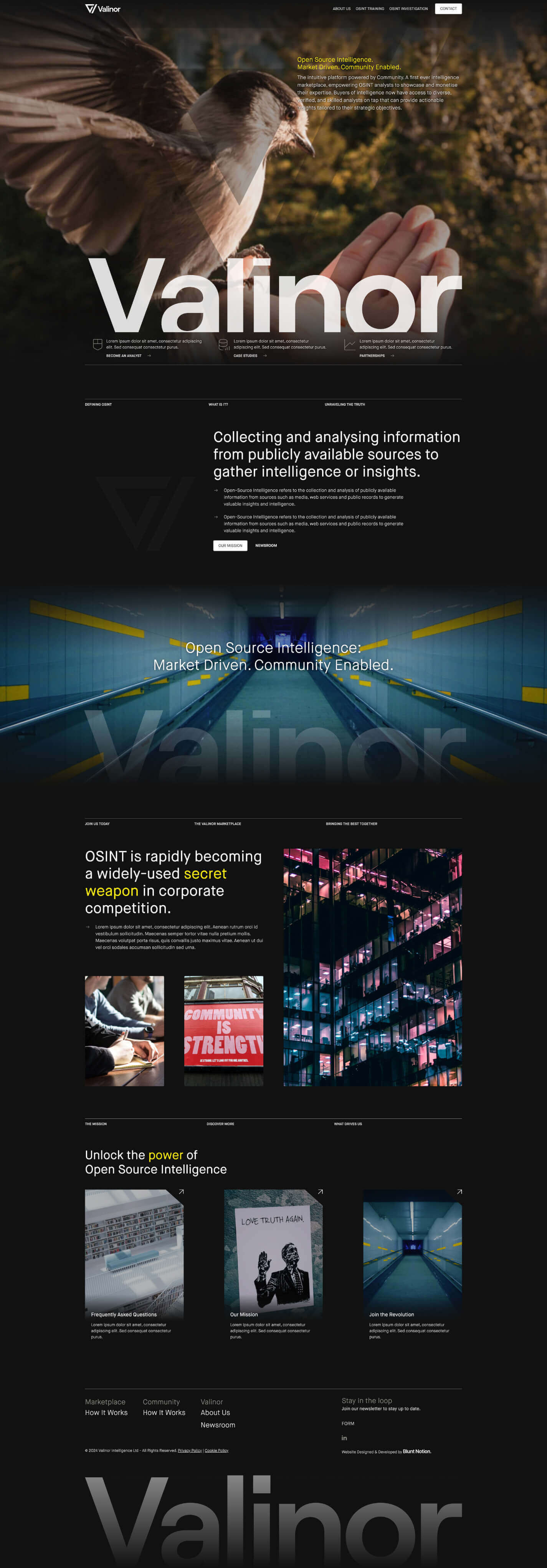 Valinor Intelligence home page website design